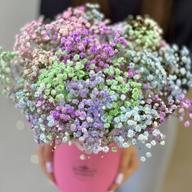 Коробка с гипсофилой