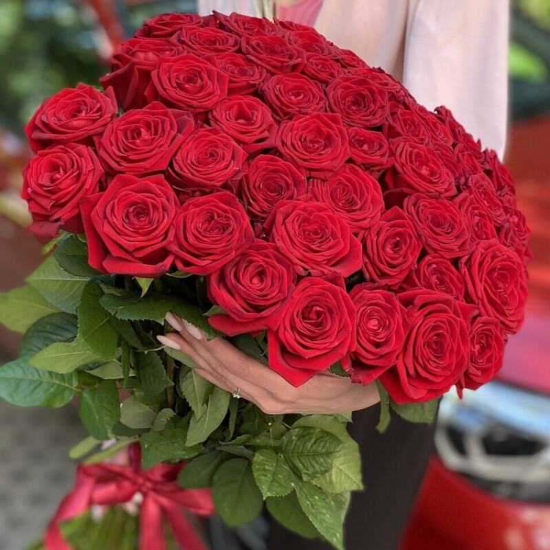 51 роза красная , стандартный