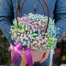 Sumochka iz gipsofili