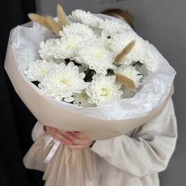 Нежность белых хризантем