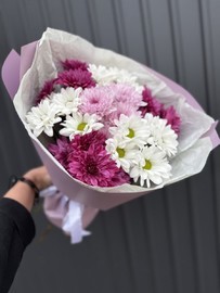 Velikolepie hrizantem