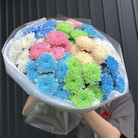 11 радужных хризантем