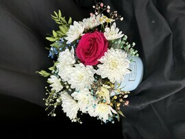 Композиция Аврора