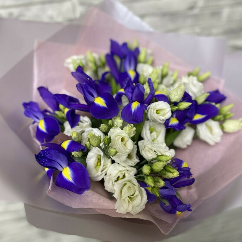 Ирисы, стандартный