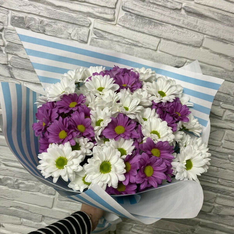 Мелодия цветов, стандартный