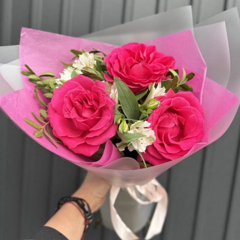 Эклипса, стандартный