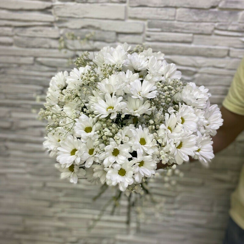 Хризантемки, стандартный