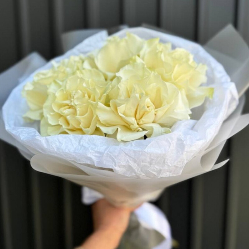 Белые Французские розы, стандартный