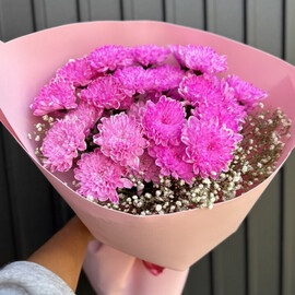 Розовыйэтюд