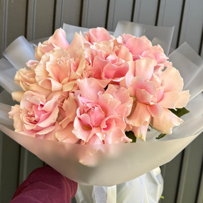 Buket iz 9 frantcuzskih roz, premium