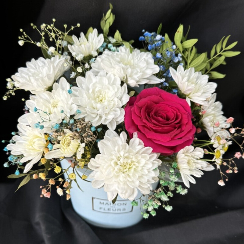 Kompozitciya Avrora, reduced