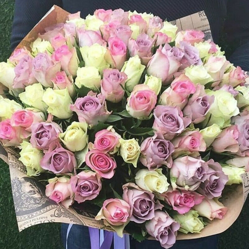 Obshirnie zemli, standart