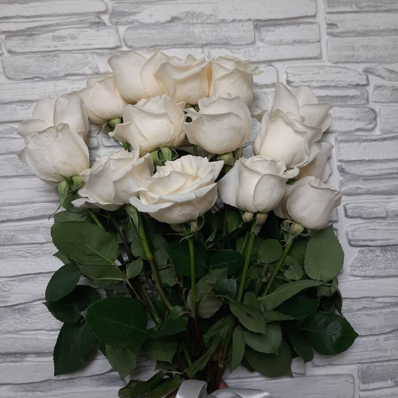 Крылья, стандартный