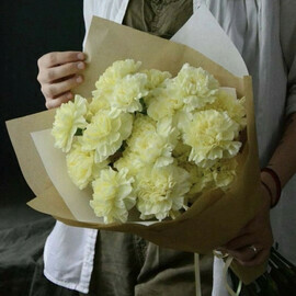 17 диантусов