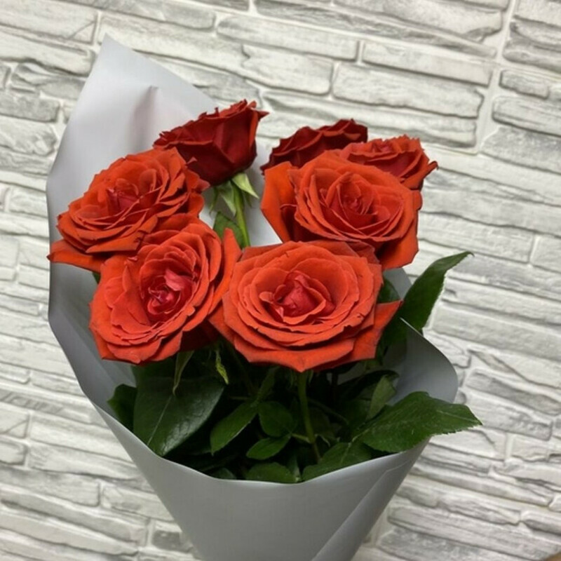 Pobeditel_ v lyubvi, standart