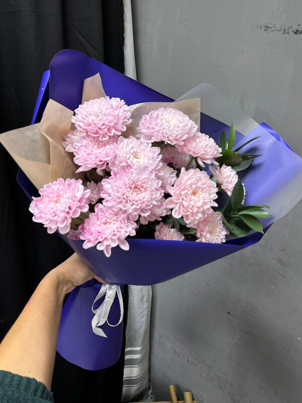 Созвездие, стандартный