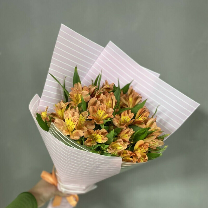 9 al_stromerij, standart