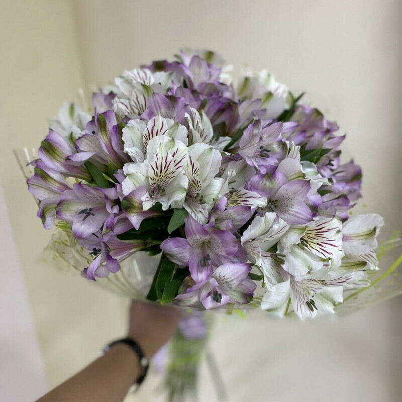 Schastlivitca, standart