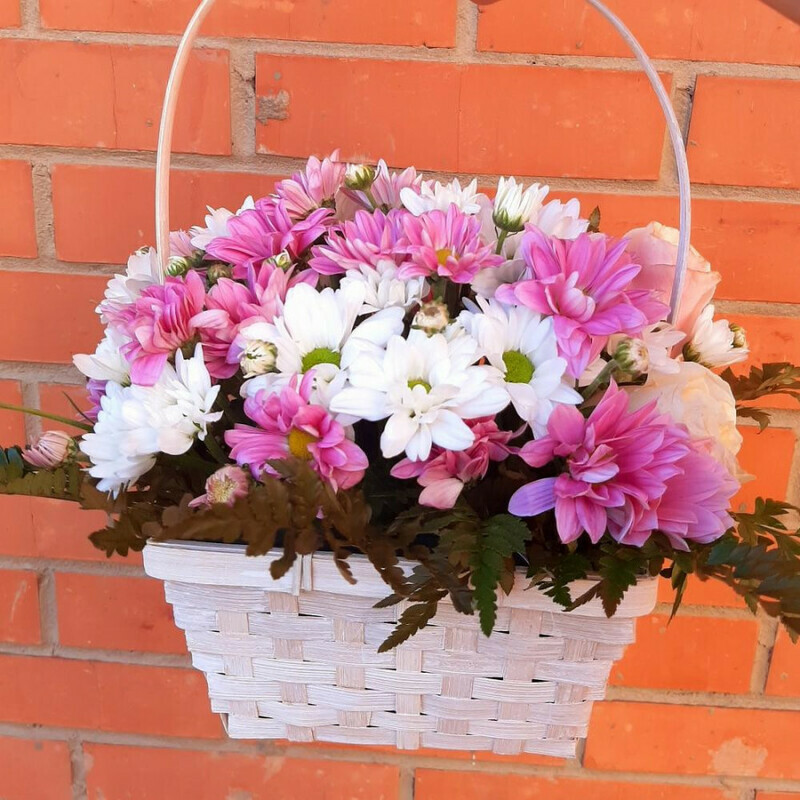 Rozovij vecher, standart