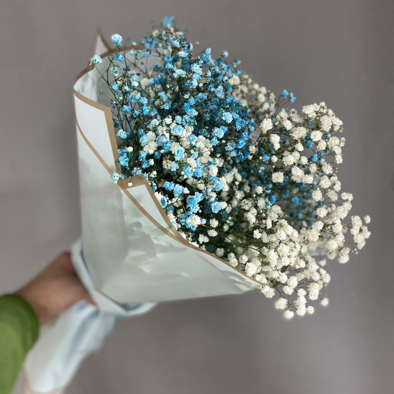 7 гипсофил, стандартный