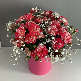 Самой лучшей