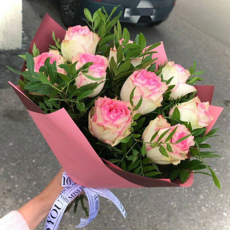 Pudrovie oblaka, standart