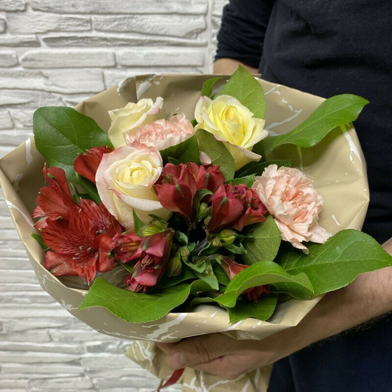 Игривая, стандартный