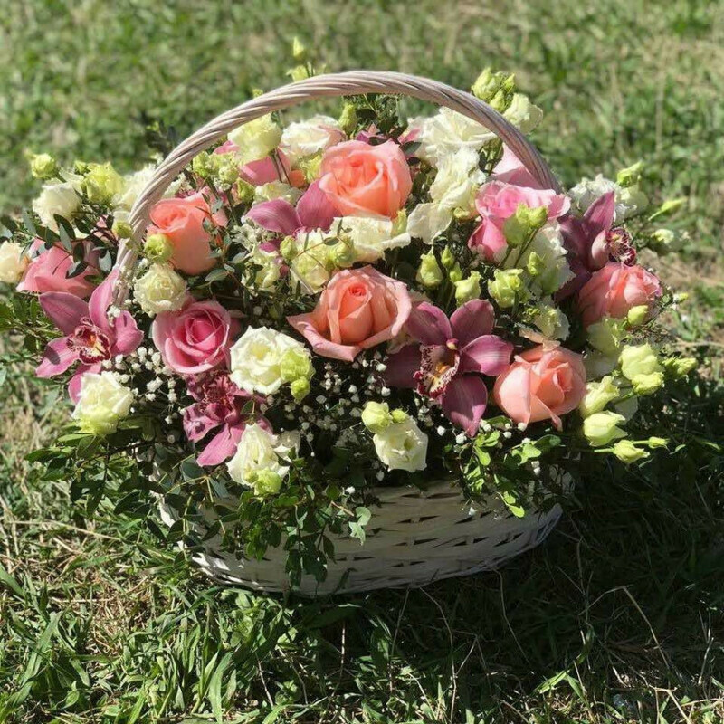 Lyubimaya prelest_, standart