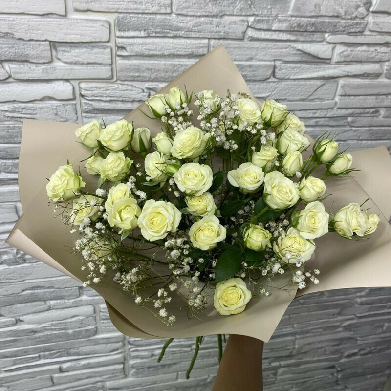 Beloe nastroenie, standart