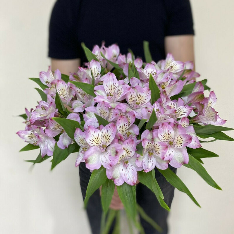 Tebe k litcu, standart