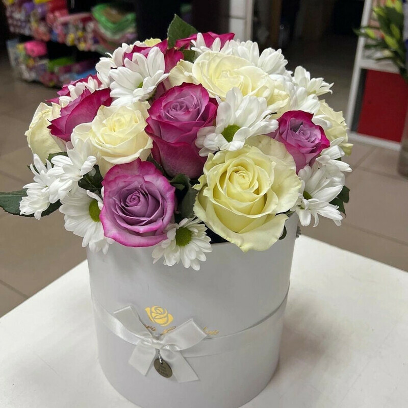 Робкий поцелу, стандартный