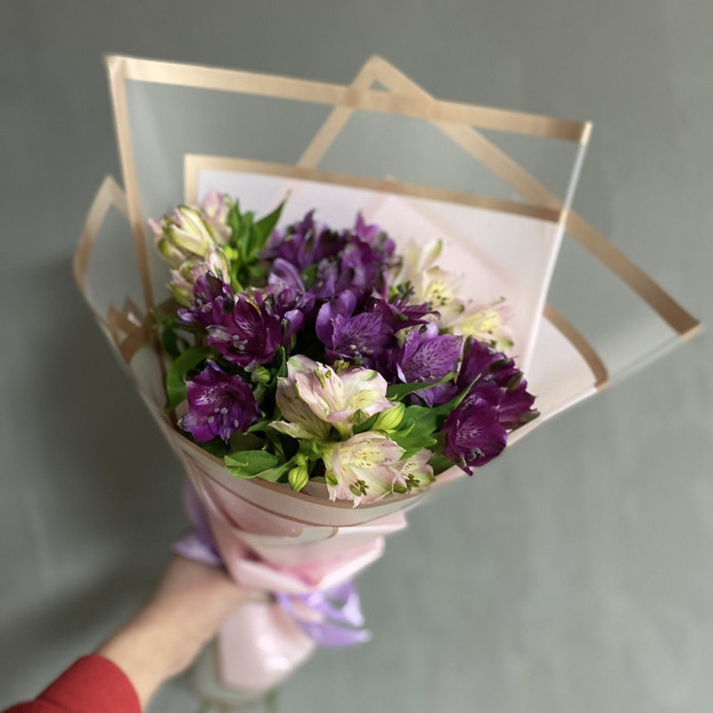 7 al_stromerij, standart