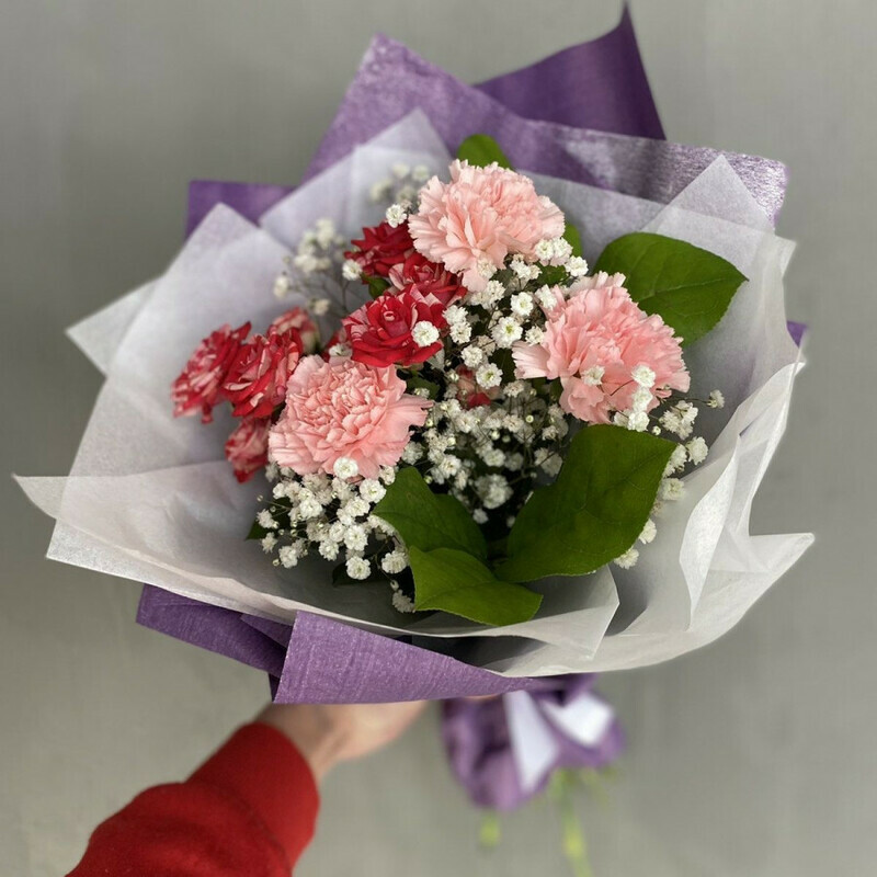 Ksyushen_ka, standart