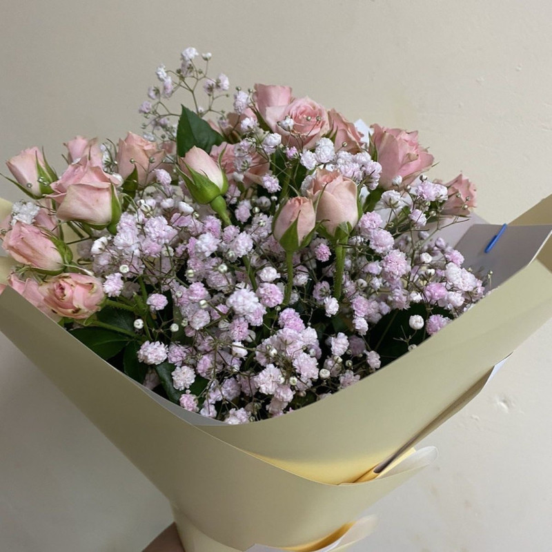 Вдвойне красива, стандартный