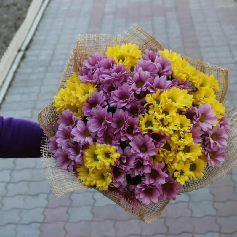 15 кустовых хризантем, стандартный