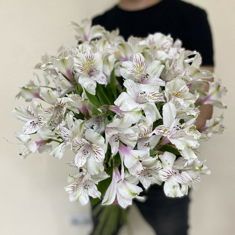 CHistaya dusha, standart