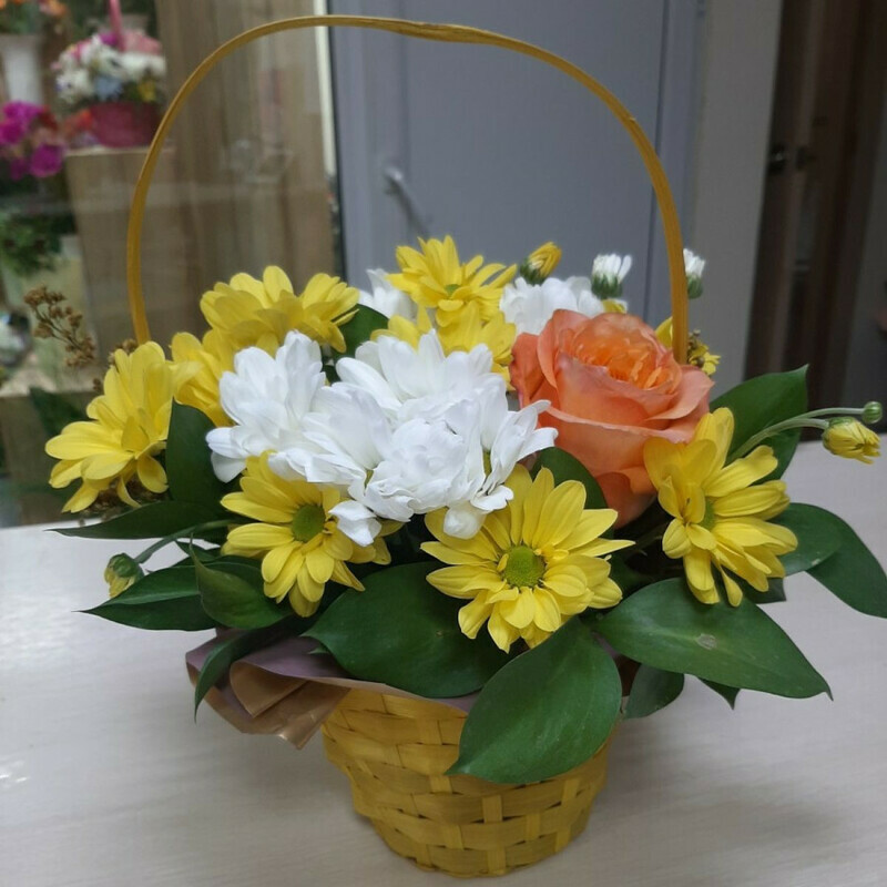 Lyubimitca, standart