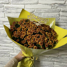 Солнечная сантини