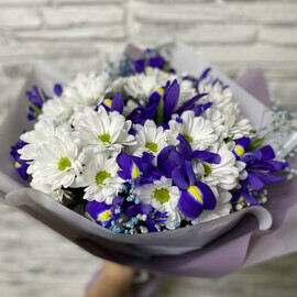 Ласковая мелодия