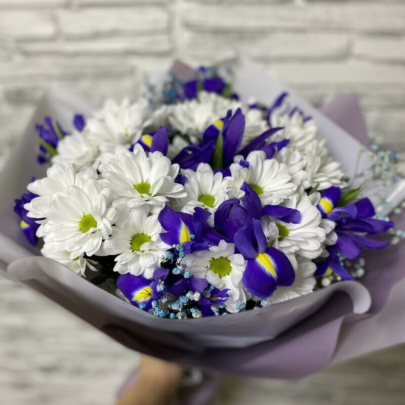 Ласковая мелодия, стандартный