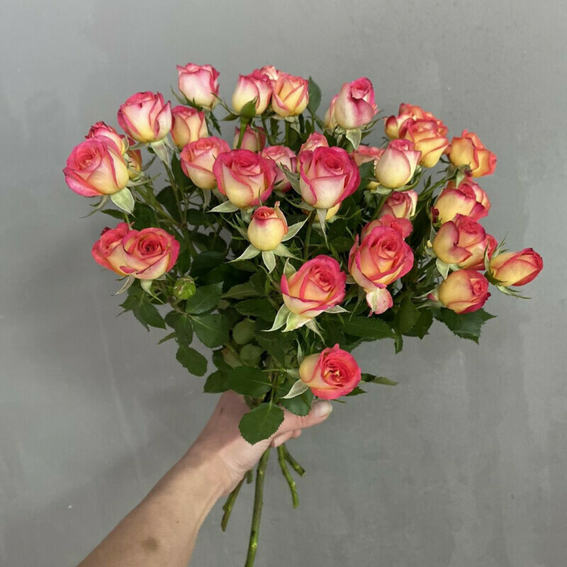 7 кустовых роз, стандартный