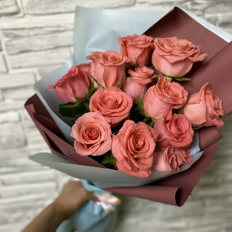 Al_ternativa, standart