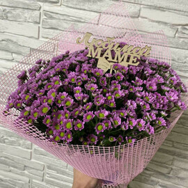 Милая сантини