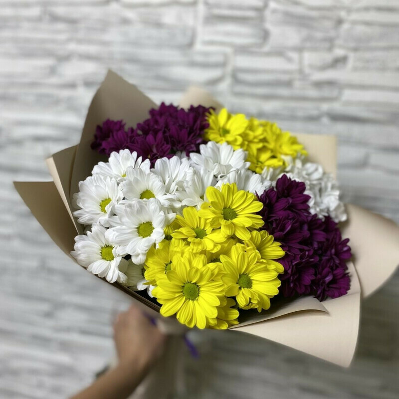 Pervaya vstrecha, standart