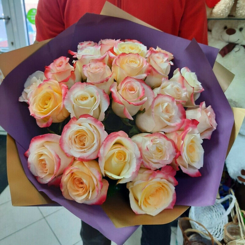 Солнце в апреле, стандартный