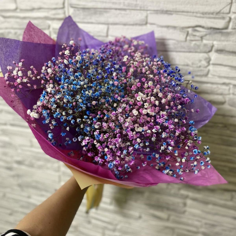 Брависсимо, стандартный