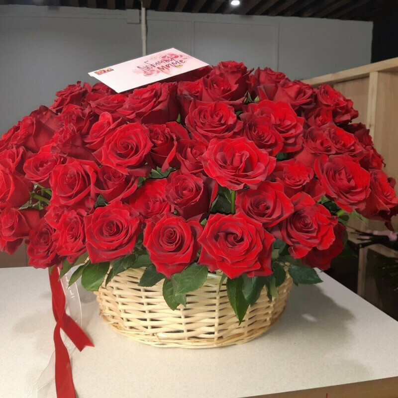 Korolevskaya roza, standart