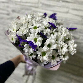 Hrizantema i statitca