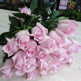 Время любить