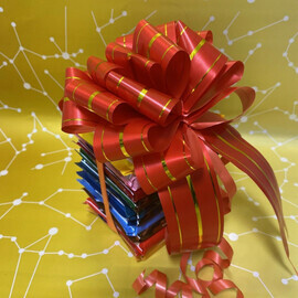 Ритерспорт